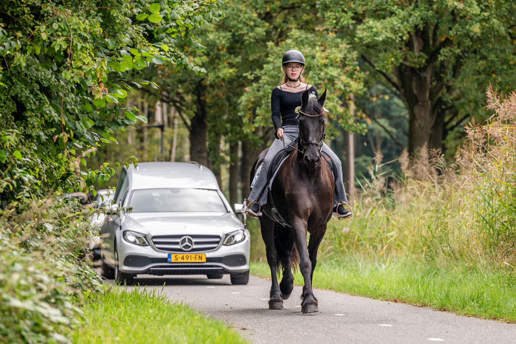 paard bij uitvaart